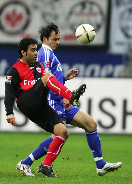 得更加顽强 得更加顽强